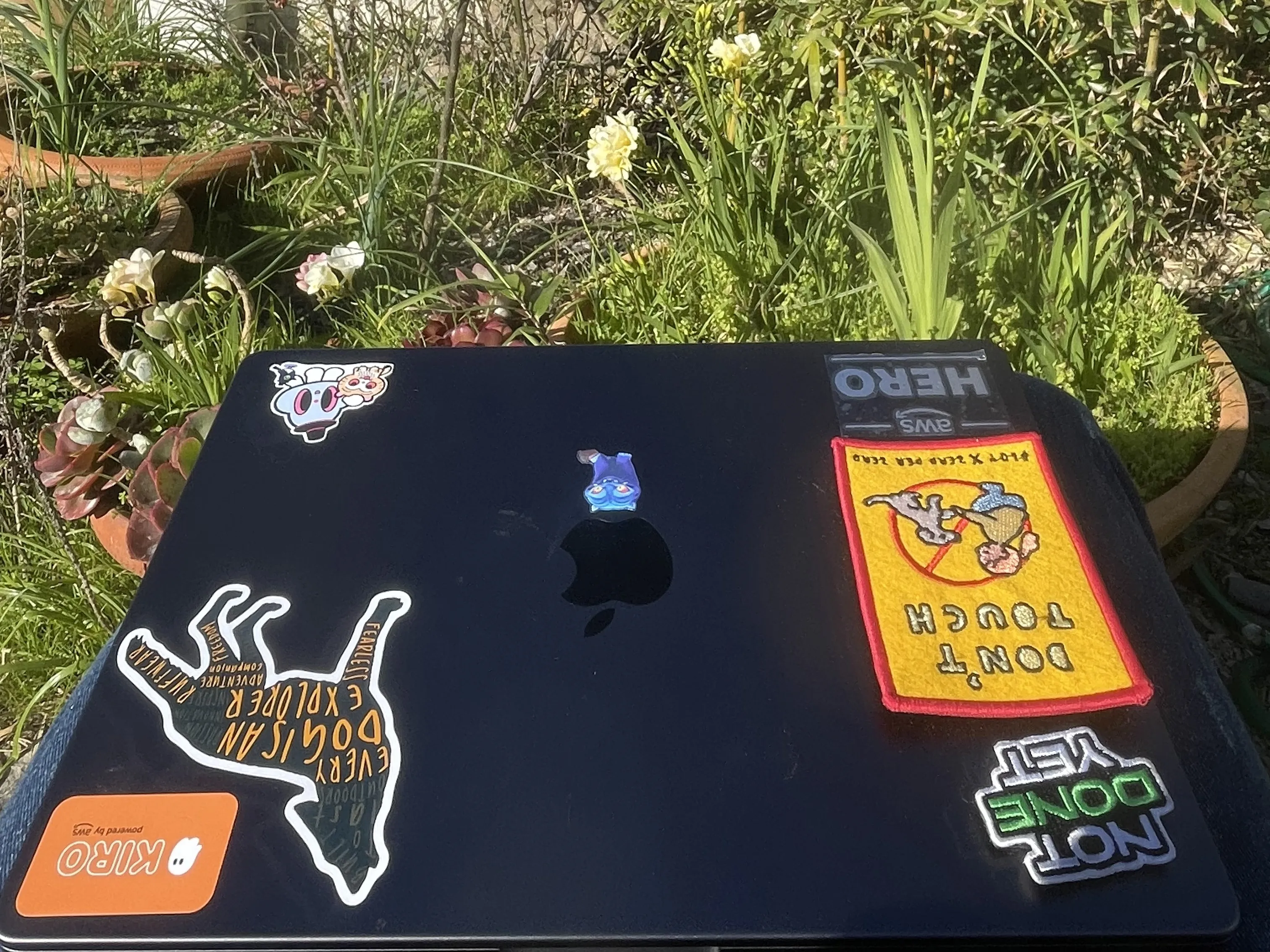 나자레 근처 숙소 마당